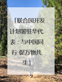 联合国开发计划署驻华代表：与中国同行 促万物共生