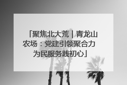 聚焦北大荒｜青龙山农场：党建引领聚合力 为民服务践初心