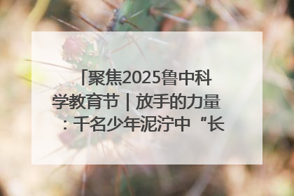 聚焦2025鲁中科学教育节｜放手的力量：千名少年泥泞中“长出勇敢翅膀”