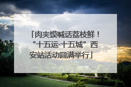 肉夹馍喊话荔枝鲜！“十五运·十五城”西安站活动圆满举行