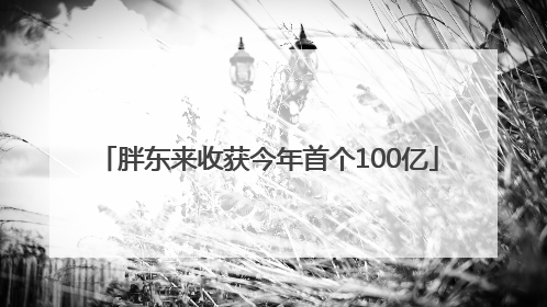 胖东来收获今年首个100亿