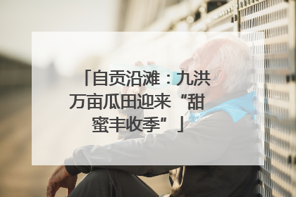 自贡沿滩：九洪万亩瓜田迎来“甜蜜丰收季”