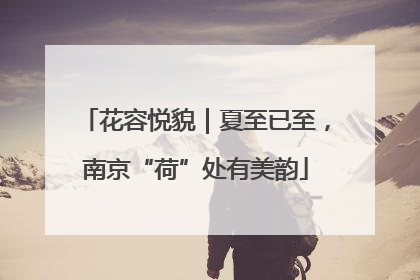 花容悦貌｜夏至已至，南京“荷”处有美韵