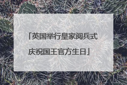 英国举行皇家阅兵式庆祝国王官方生日