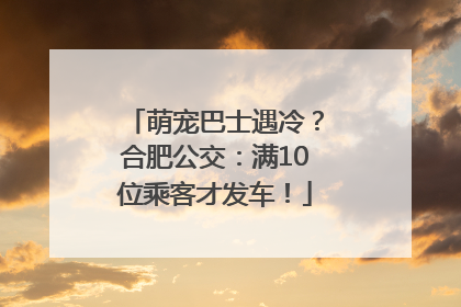 萌宠巴士遇冷？合肥公交：满10位乘客才发车！