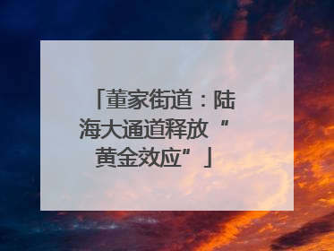 董家街道：陆海大通道释放“黄金效应”