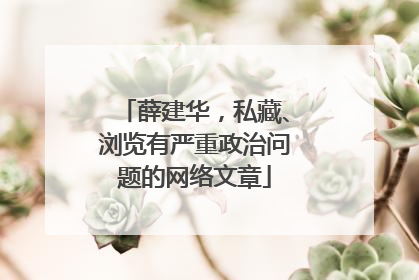 薛建华，私藏、浏览有严重政治问题的网络文章