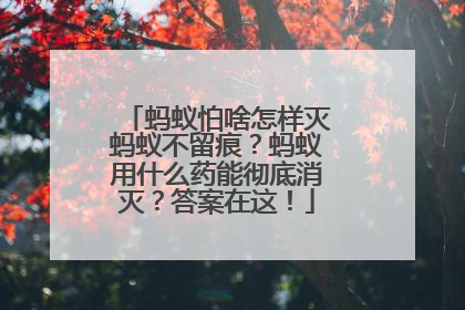 蚂蚁怕啥怎样灭蚂蚁不留痕？蚂蚁用什么药能彻底消灭？答案在这！
