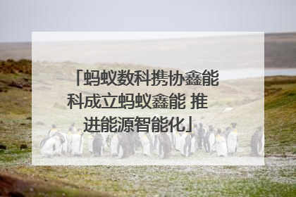 蚂蚁数科携协鑫能科成立蚂蚁鑫能 推进能源智能化