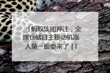 蚂蚁集团押注，全球仓储自主移动机器人第一股要来了｜IPO直通车