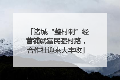 诸城“整村制”经营铺就富民强村路，合作社迎来大丰收