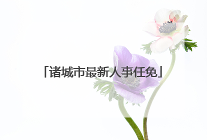 诸城市最新人事任免