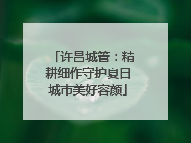 许昌城管：精耕细作守护夏日城市美好容颜