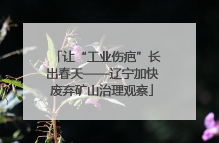 让“工业伤疤”长出春天——辽宁加快废弃矿山治理观察