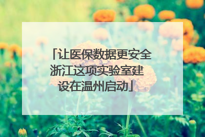 让医保数据更安全 浙江这项实验室建设在温州启动