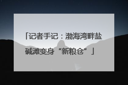 记者手记：渤海湾畔盐碱滩变身“新粮仓”