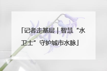 记者走基层｜智慧“水卫士”守护城市水脉