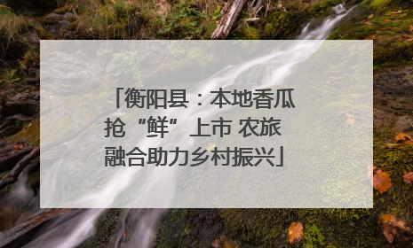 衡阳县：本地香瓜抢“鲜”上市 农旅融合助力乡村振兴