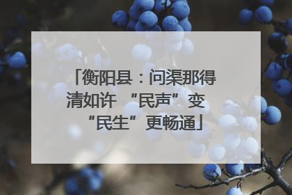 衡阳县：问渠那得清如许 “民声”变“民生”更畅通