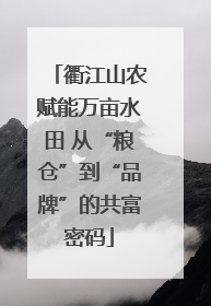 衢江山农赋能万亩水田 从“粮仓”到“品牌”的共富密码