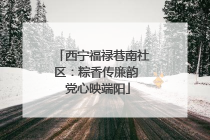 西宁福禄巷南社区：粽香传廉韵 党心映端阳