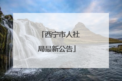 西宁市人社局最新公告