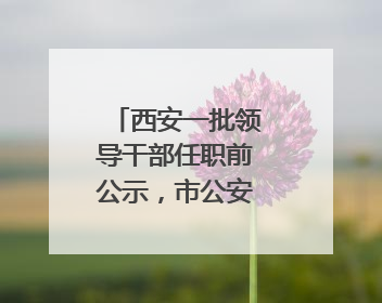 西安一批领导干部任职前公示，市公安局两干部拟学历破格提拔