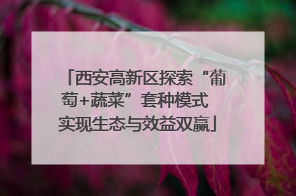 西安高新区探索“葡萄+蔬菜”套种模式 实现生态与效益双赢
