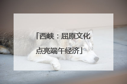 西峡：屈原文化点亮端午经济