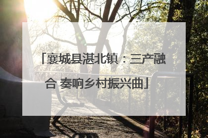 襄城县湛北镇：三产融合 奏响乡村振兴曲