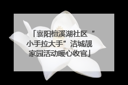 襄阳檀溪湖社区“小手拉大手”洁城靓家园活动暖心收官