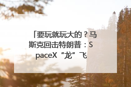 要玩就玩大的？马斯克回击特朗普：SpaceX“龙”飞船将立即退役！