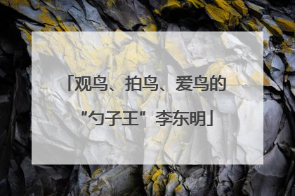 观鸟、拍鸟、爱鸟的“勺子王”李东明