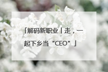 解码新职业丨走，一起下乡当“CEO”