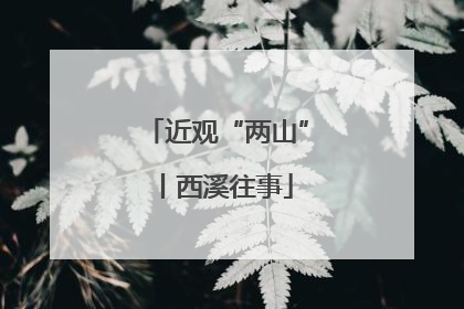 近观“两山”丨西溪往事