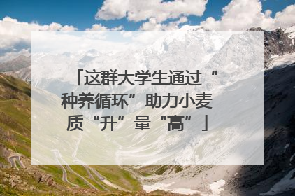 这群大学生通过“种养循环”助力小麦质“升”量“高”