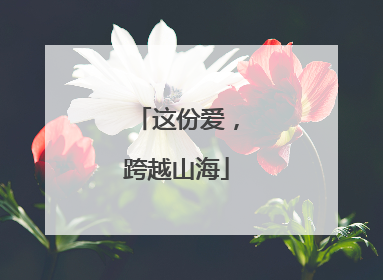 这份爱，跨越山海