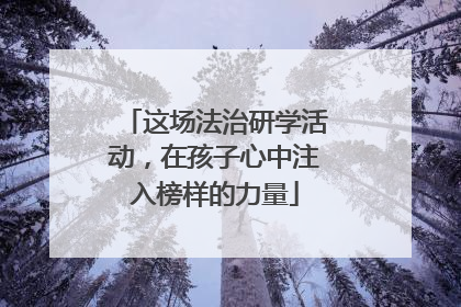 这场法治研学活动，在孩子心中注入榜样的力量
