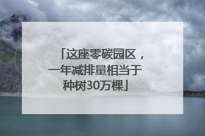 这座零碳园区，一年减排量相当于种树30万棵