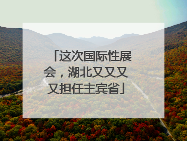 这次国际性展会，湖北又又又又担任主宾省