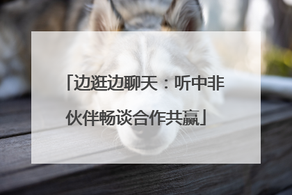 边逛边聊天：听中非伙伴畅谈合作共赢