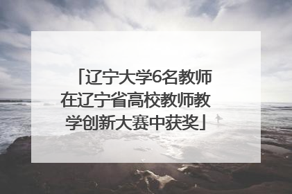 辽宁大学6名教师在辽宁省高校教师教学创新大赛中获奖