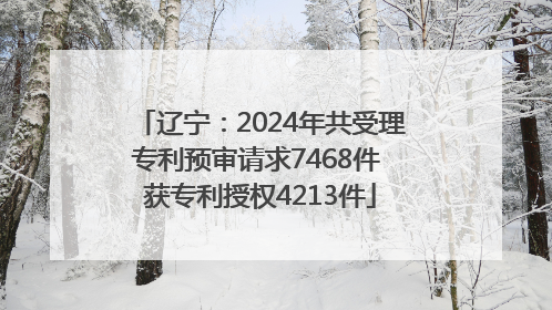辽宁：2024年共受理专利预审请求7468件 获专利授权4213件