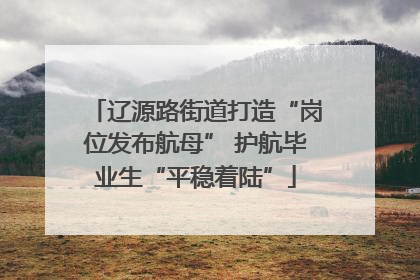 辽源路街道打造“岗位发布航母” 护航毕业生“平稳着陆”
