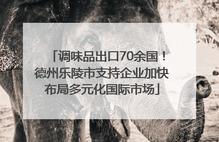 调味品出口70余国！德州乐陵市支持企业加快布局多元化国际市场