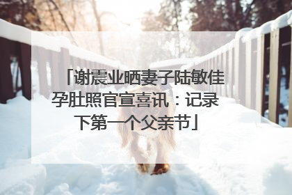 谢震业晒妻子陆敏佳孕肚照官宣喜讯：记录下第一个父亲节