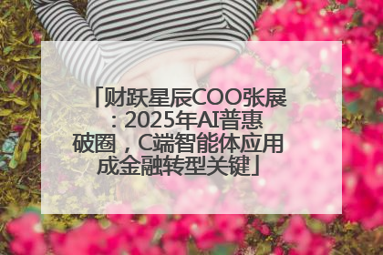 财跃星辰COO张展：2025年AI普惠破圈，C端智能体应用成金融转型关键