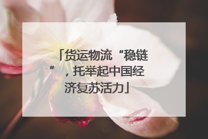 货运物流“稳链”，托举起中国经济复苏活力