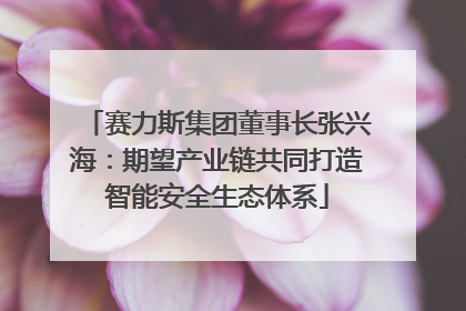 赛力斯集团董事长张兴海：期望产业链共同打造智能安全生态体系
