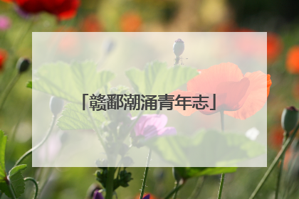 赣鄱潮涌青年志